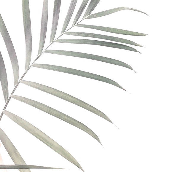 Meet your Posher, Ciara - Picture 1 of 1